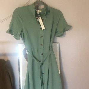 Pastel green ruffle sleeves button dress